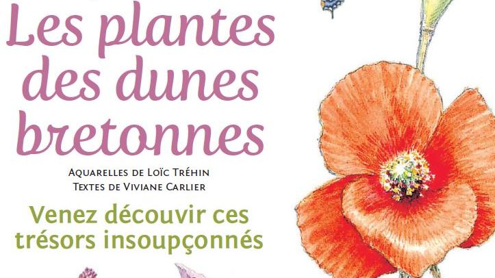 Exposition les plantes des dunes bretonnes