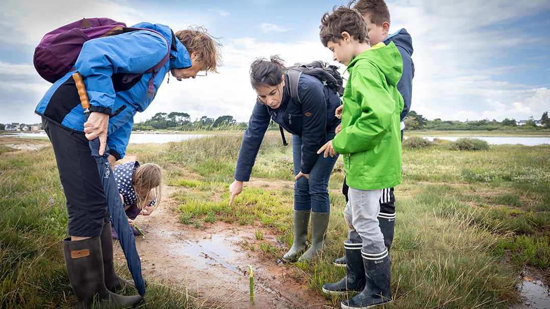 Atelier sur la trace des animaux