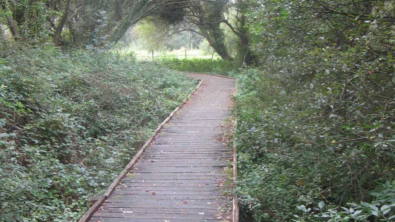 passerelle du marais de Kerderff à Larmor-Plage