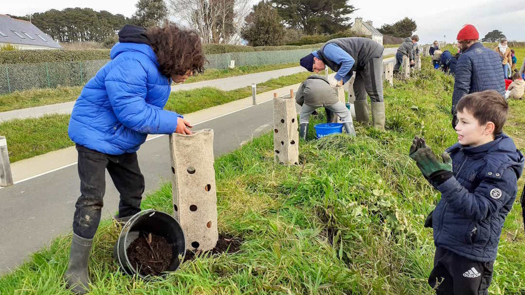 Des enfants de groix plantent des haies bocagères