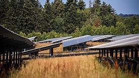 Ferme solaire Kermat