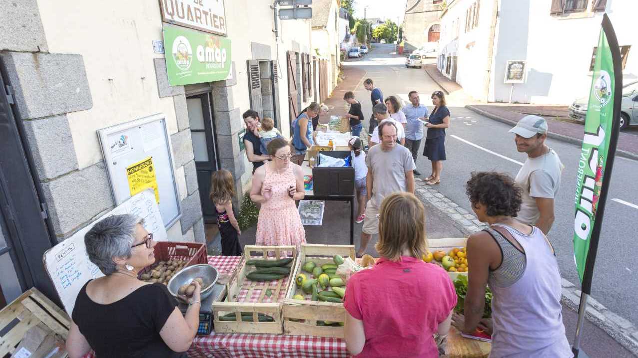 Amap panier gagnant