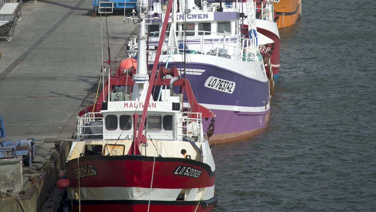 Port de pêche Lorient-Keroman © LA - Hervé Cohonner