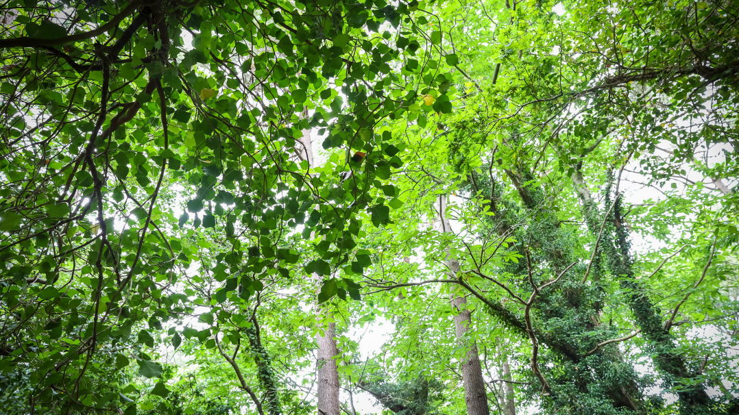 5è édition du mois de la biodiversité