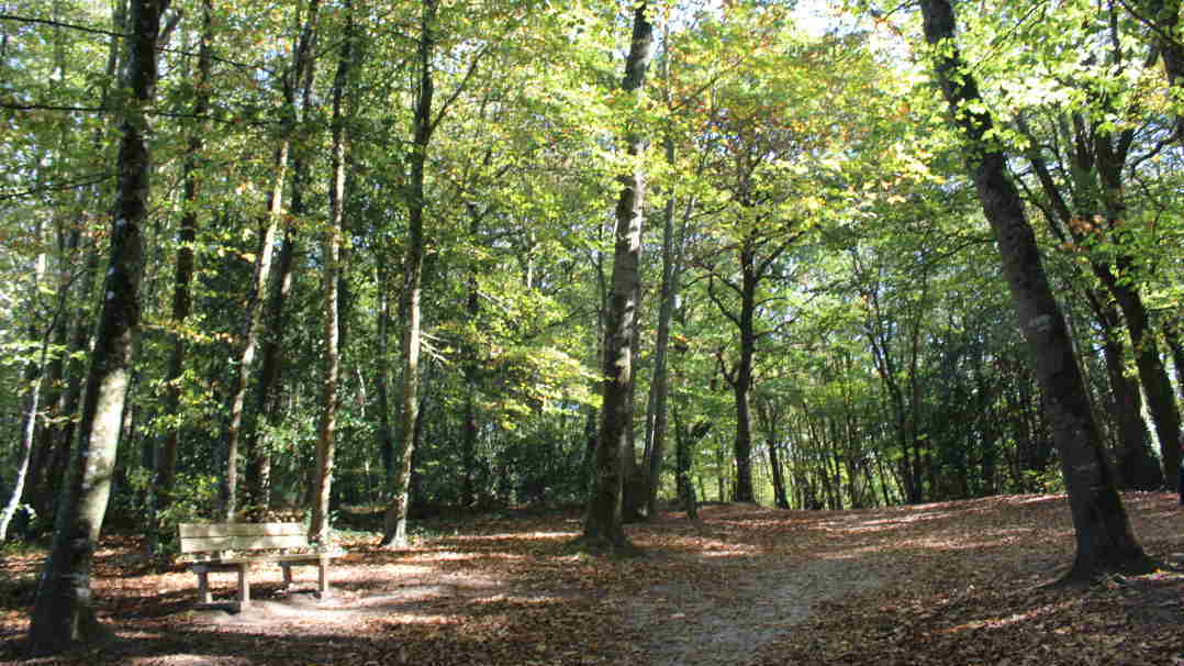 Ploemeur - Parc de Kerdihuer