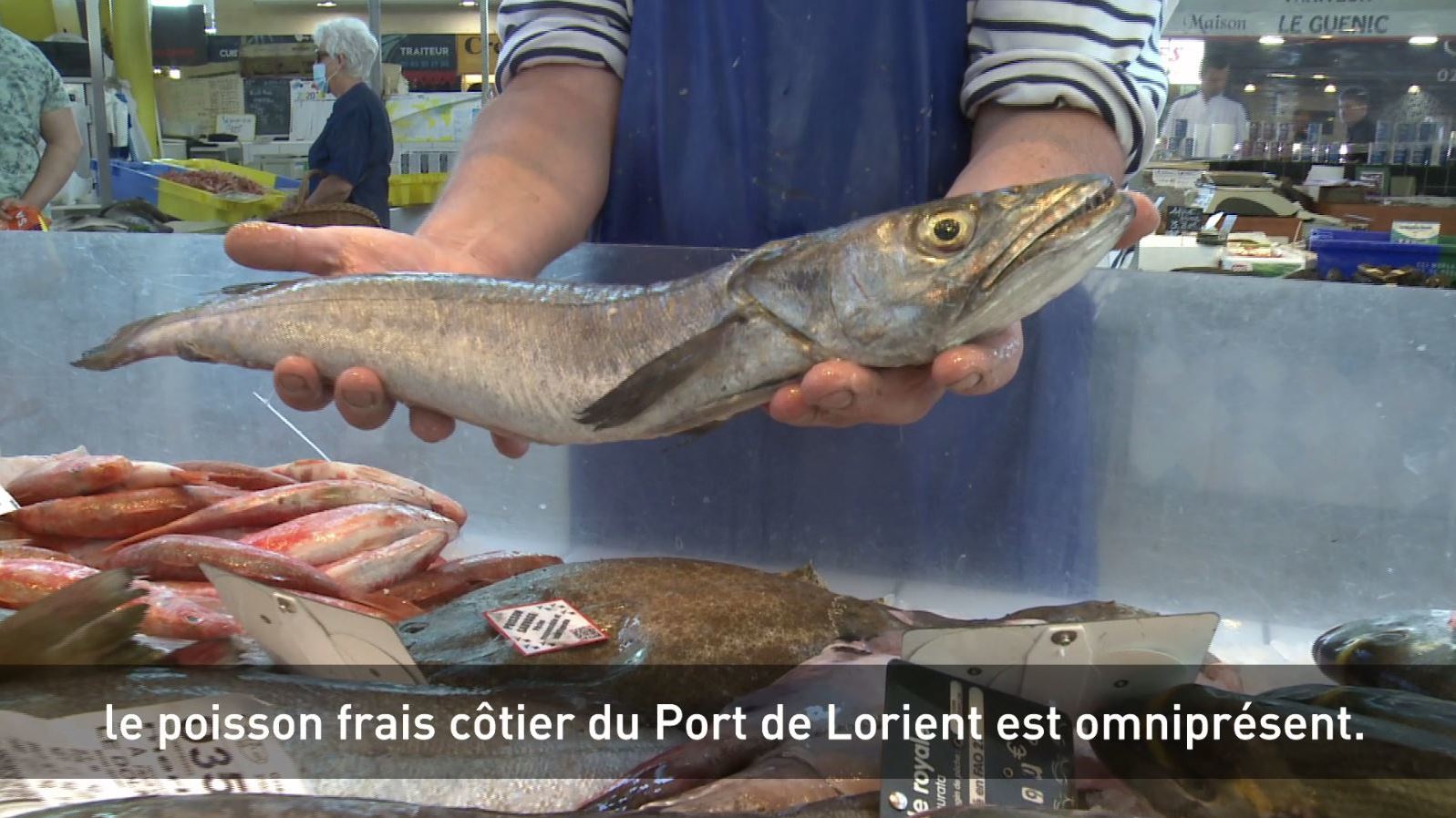 Du poisson frais au Port de pêche de Lorient Keroman