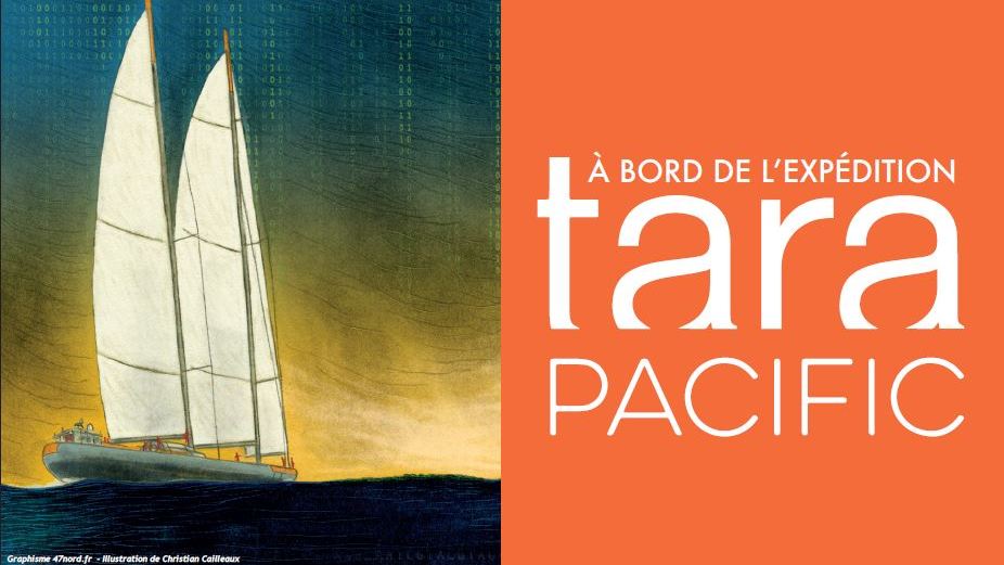 Du 14 juillet au 16 septembre, l’expédition Tara Pacific s’expose au Fort du Loc’h à Guidel 