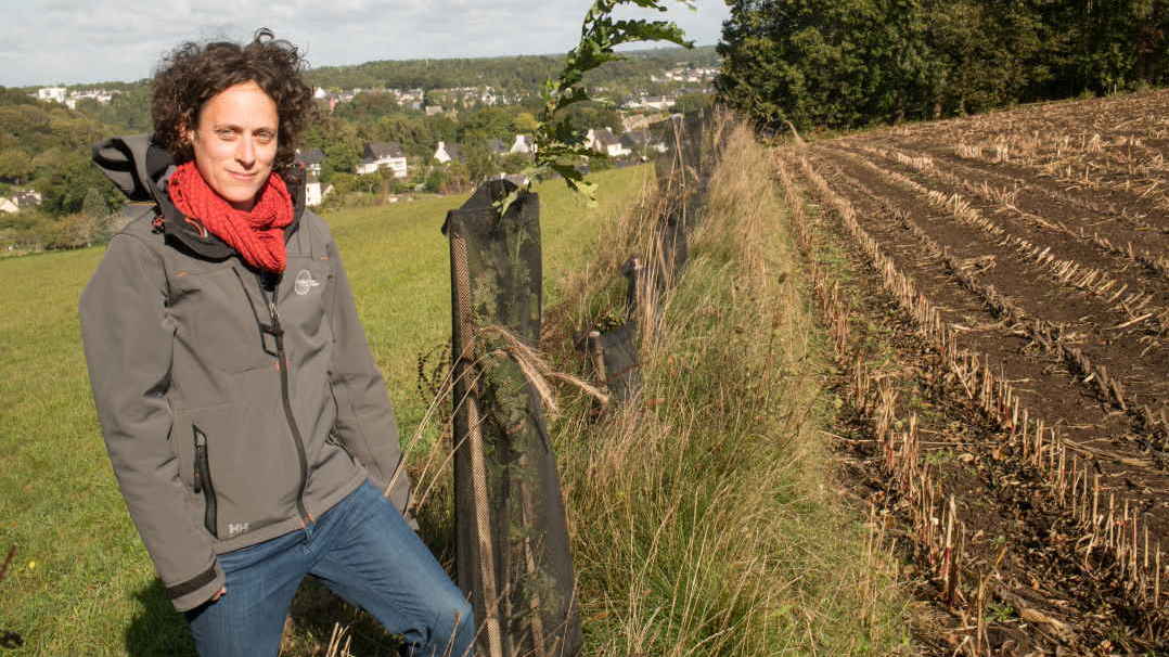 Coralie Vautier, technicienne agricole et bocage