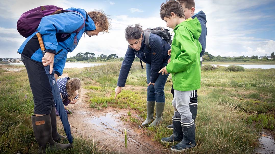 Atelier sur la trace des animaux