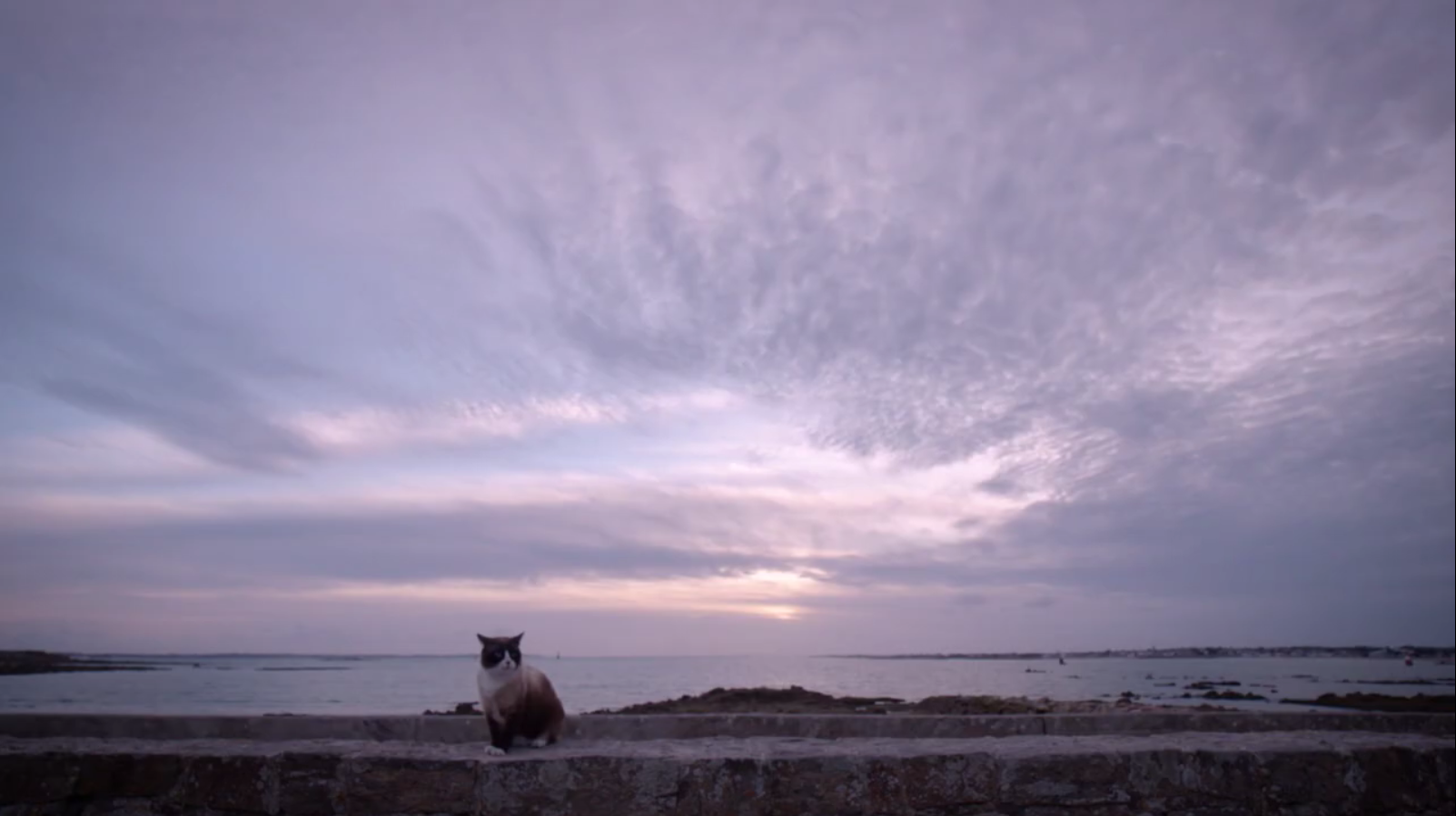 Le printemps à Lorient Bretagne Sud