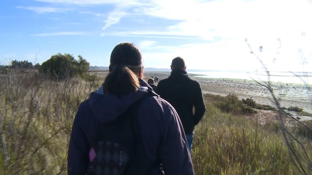 Sorties nature : Maison de l'île Kerner, Riantec