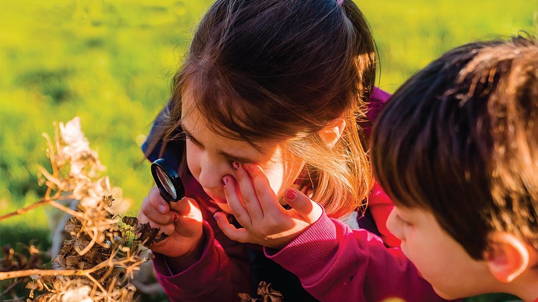 Mois de la biodiversité