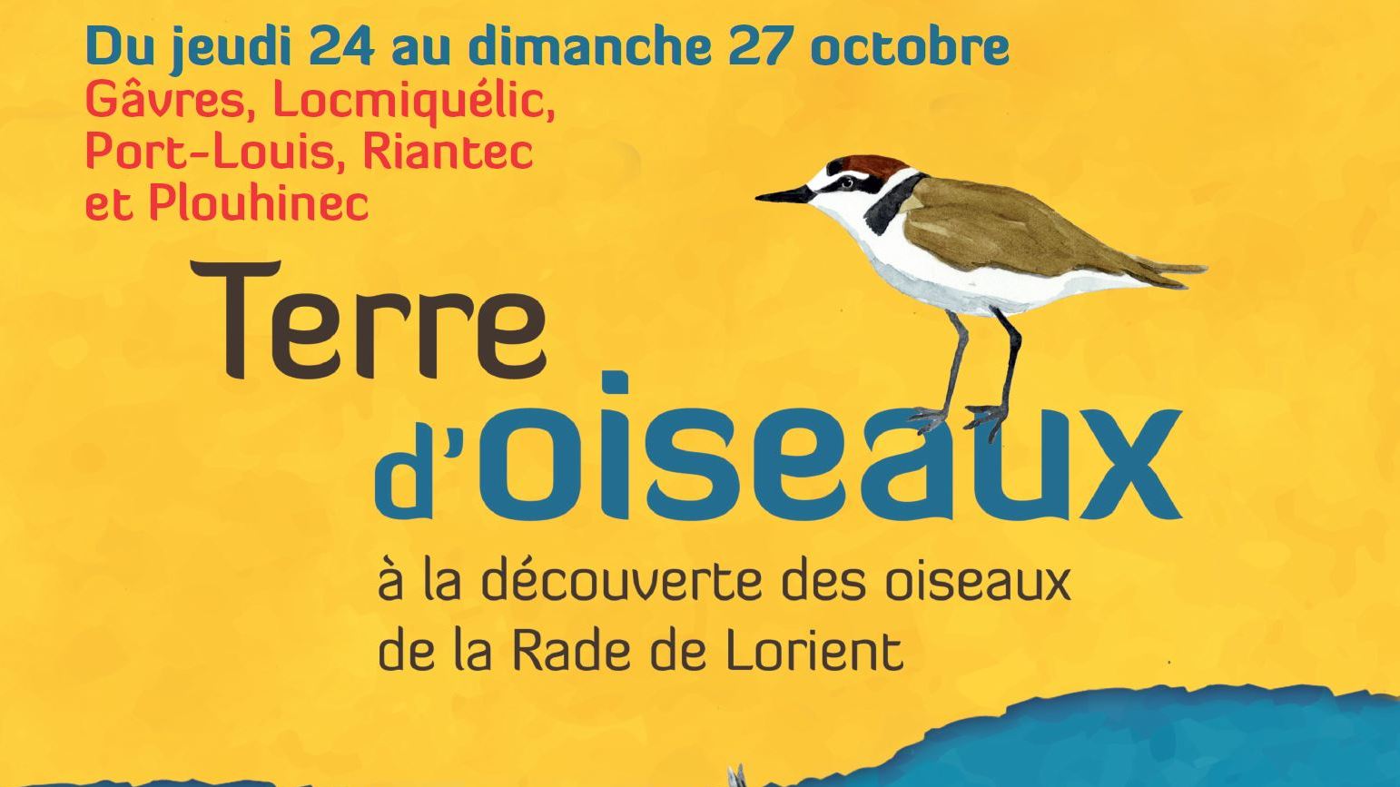 Festival Terre d’oiseaux 2019