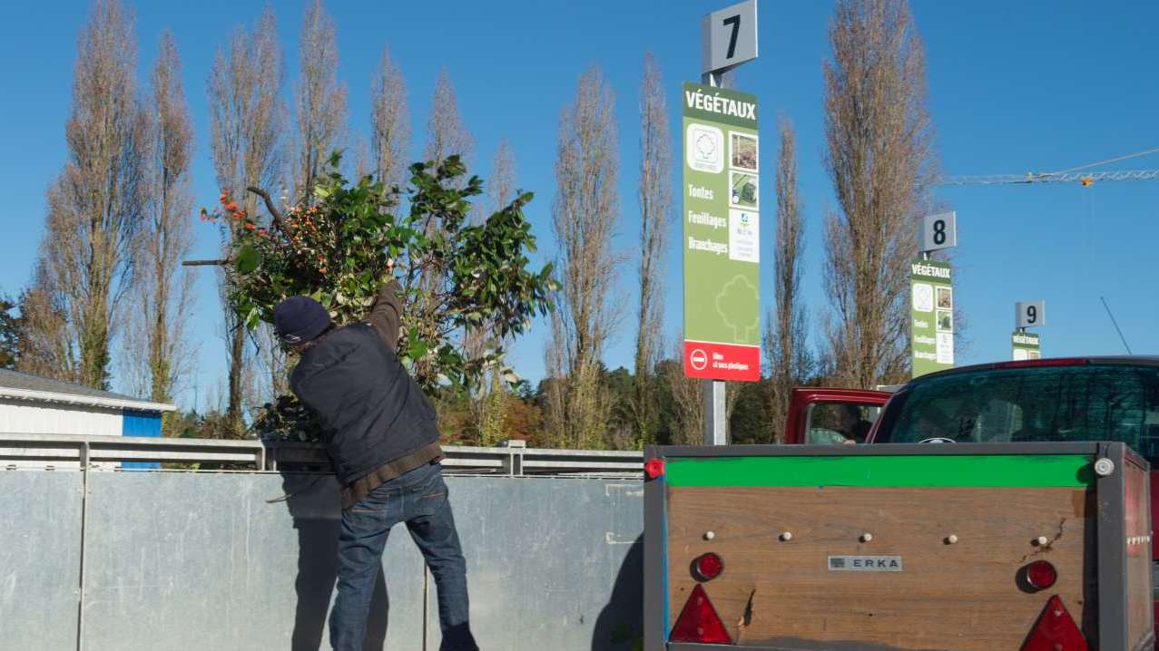 Recyclage des sapins de noël : liste des points de dépôt