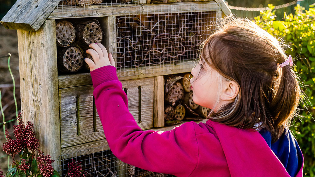 Défi Famille pour la Biodiversité