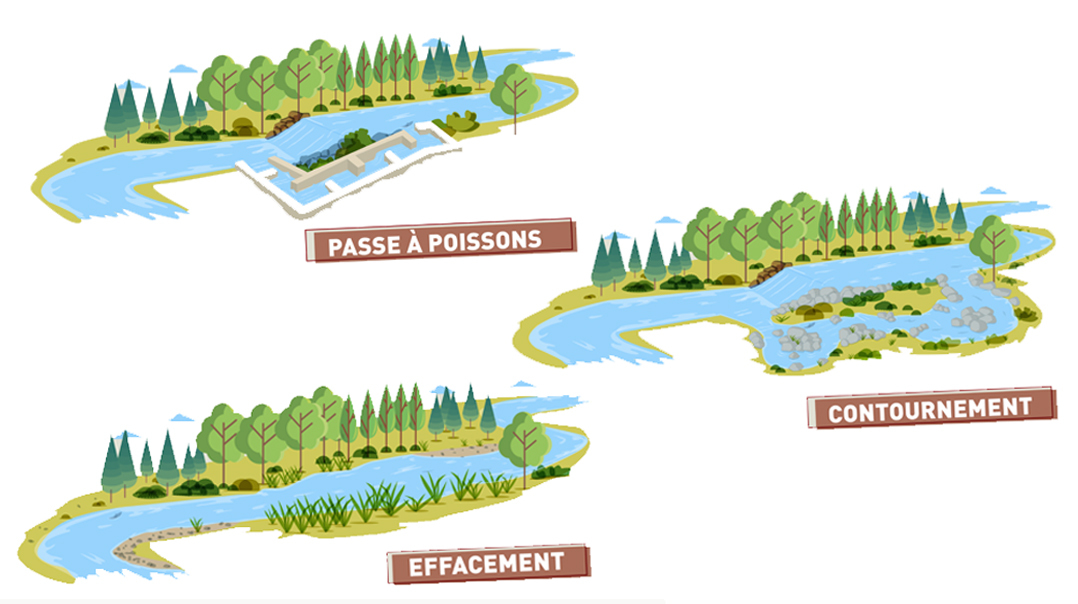 Continuité écologique