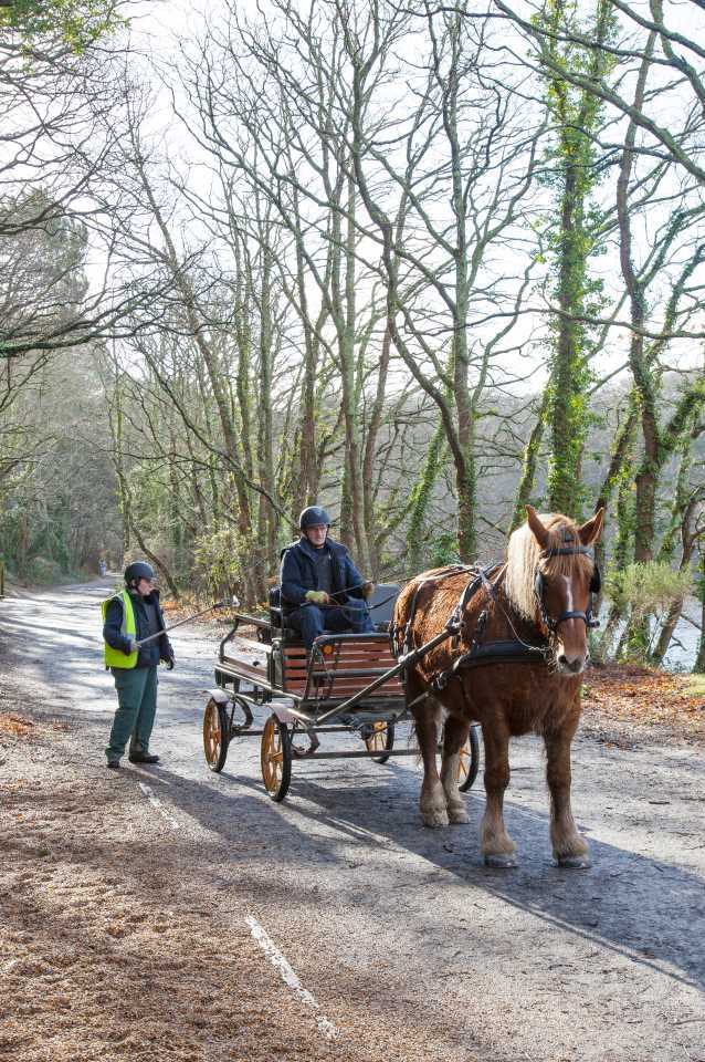 Entretien des Rives du Ter à cheval