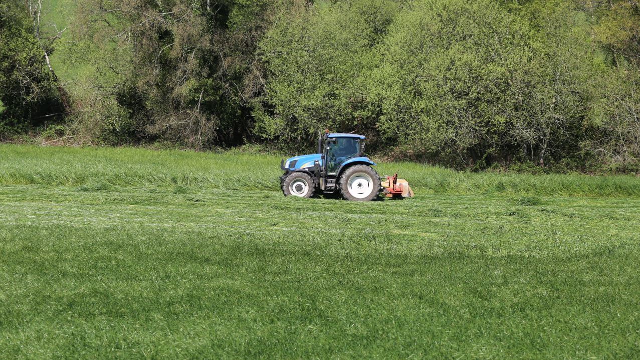 Agriculture