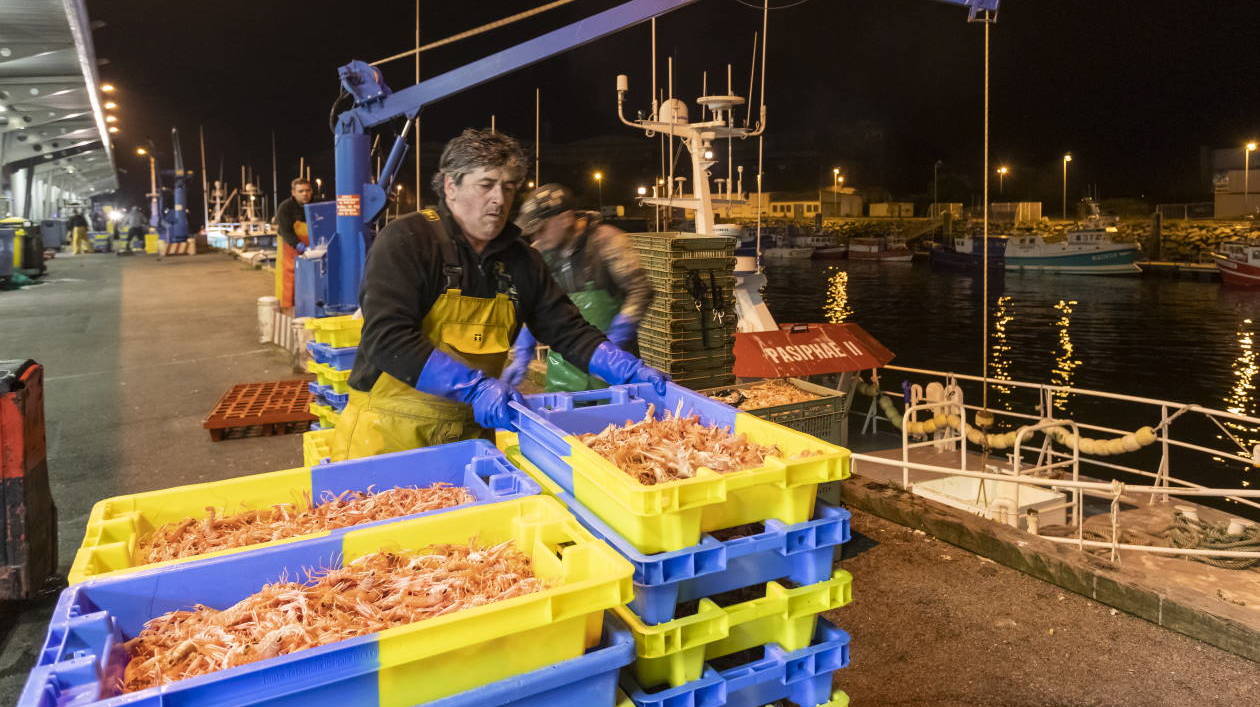 Le port de pêche de Lorient s’est organisé afin de maintenir une activité pour les pêcheurs locaux