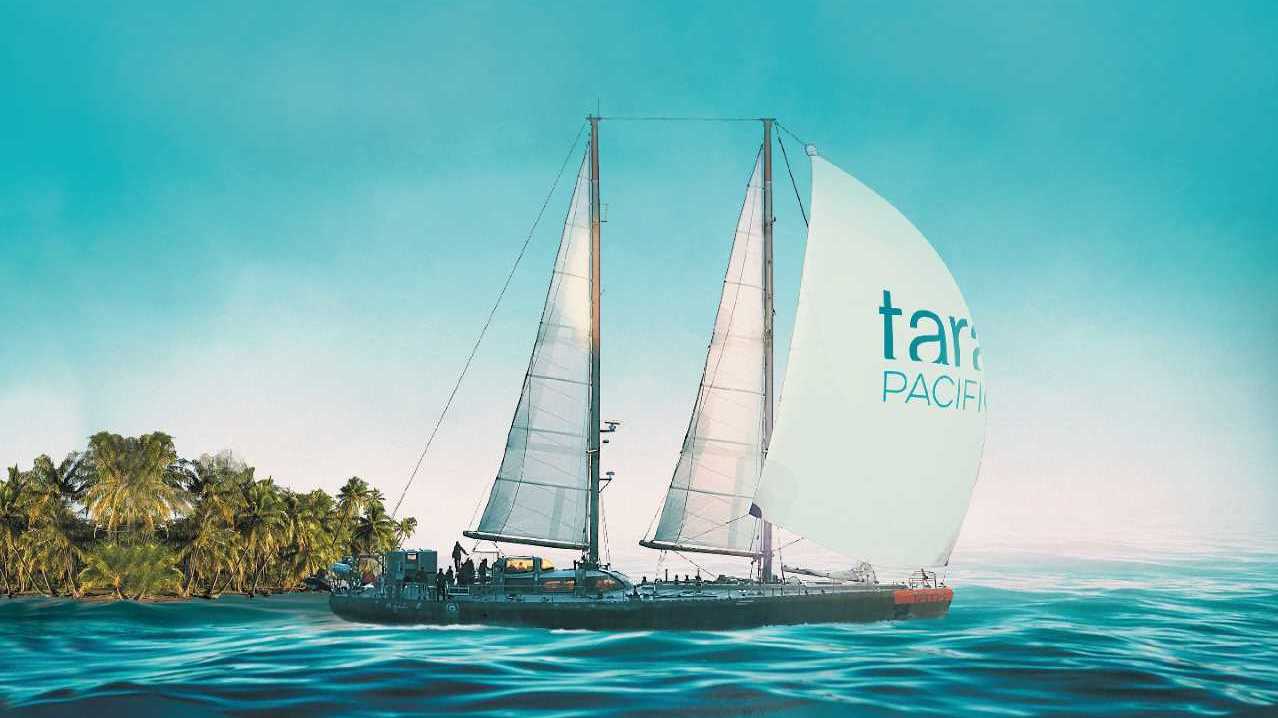 Film Tara Odyssée du corail
