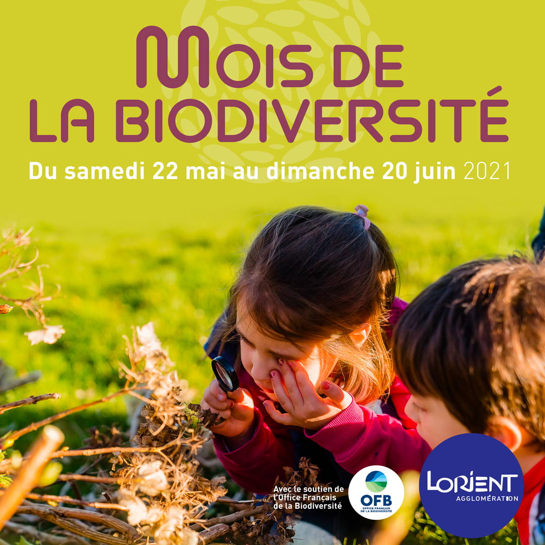 Visuel mois de la biodiversité