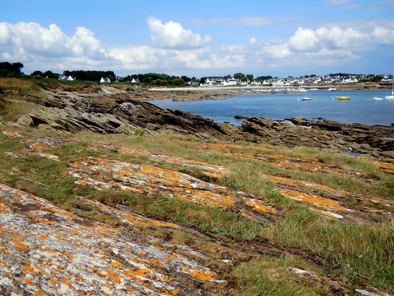 La flore du littoral de l'île de Groix