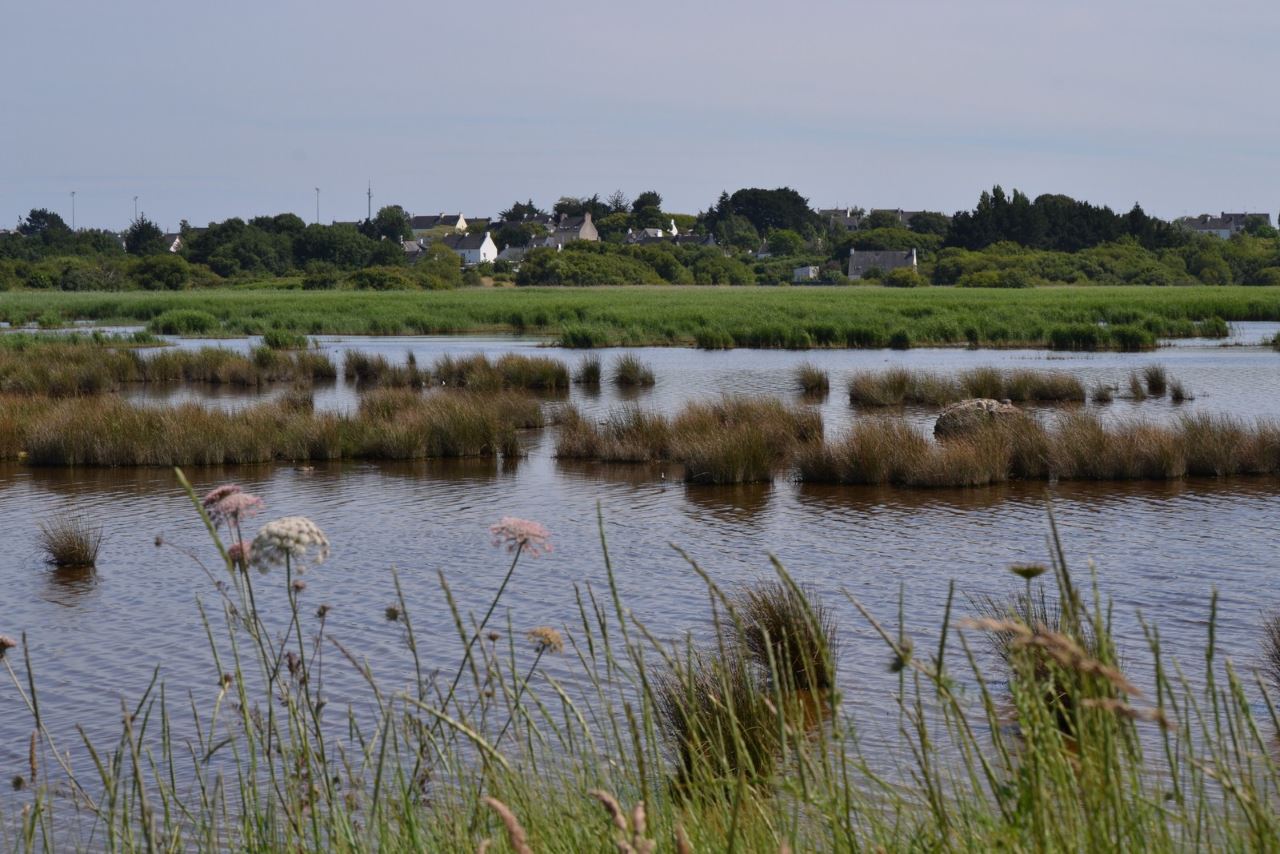 Le marais de Pen Mané à Locmiquélic