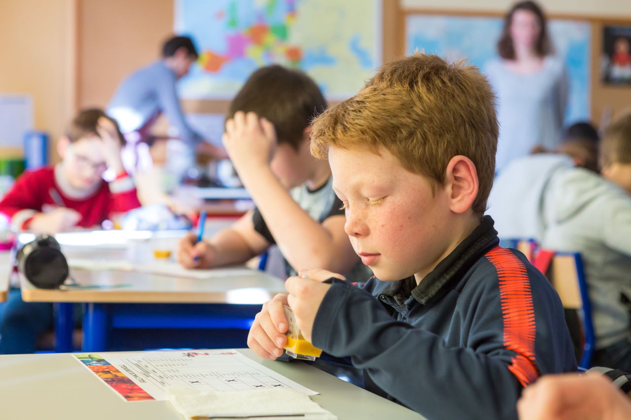 Animation scolaire sur le gaspillage alimentaire © Lorient Agglo