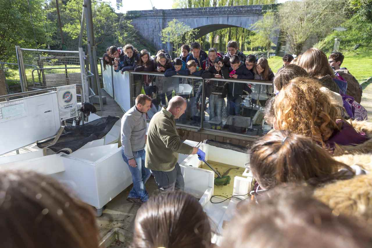 Animation scolaire Moulin des Princes