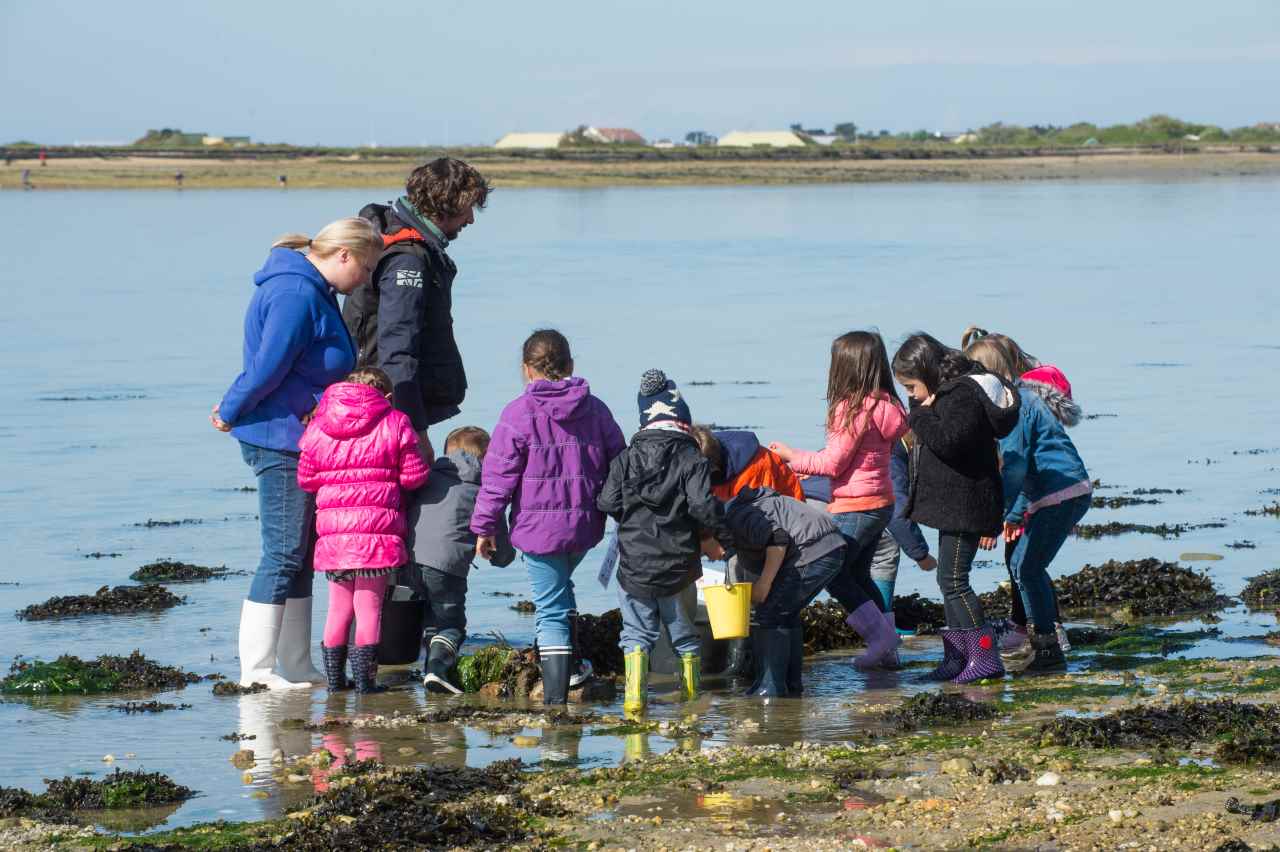 Animation scolaire S Eau S Littoral