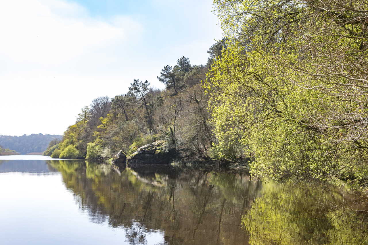 Rivière du Scorff.