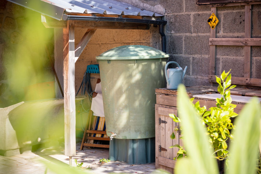 Récupérateur d'eau pluviale